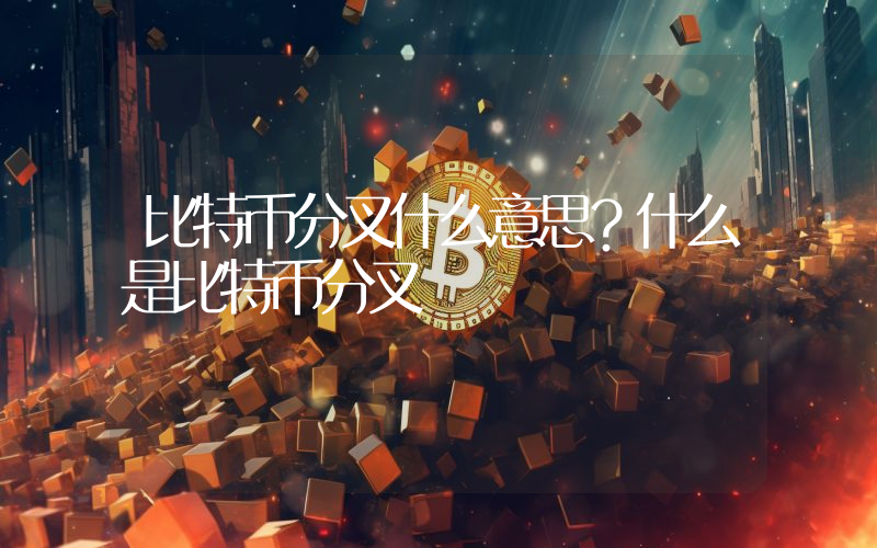 比特币分叉什么意思？什么是比特币分叉