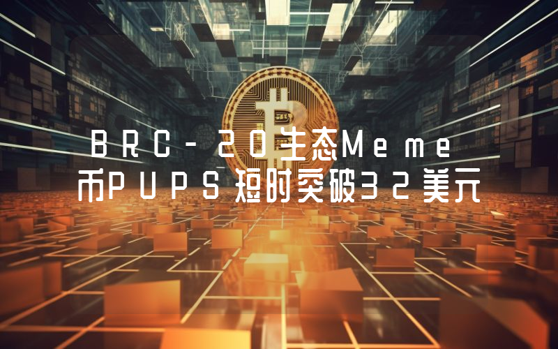 BRC-20生态Meme币PUPS短时突破32美元