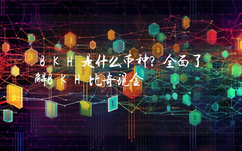 BKH是什么币种？全面了解BKH比奇现金