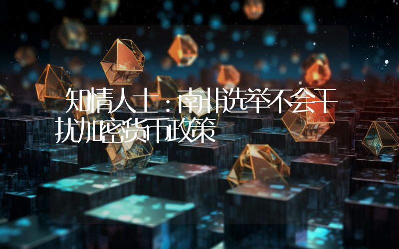 知情人士:南非选举不会干扰加密货币政策
