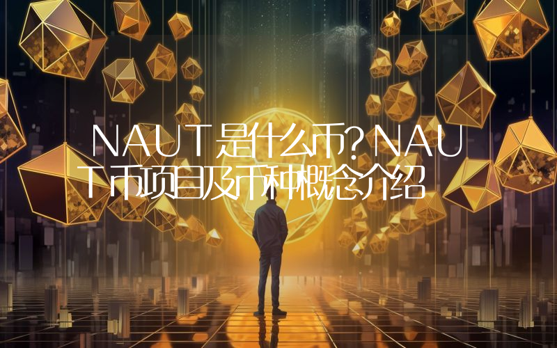 NAUT是什么币？NAUT币项目及币种概念介绍