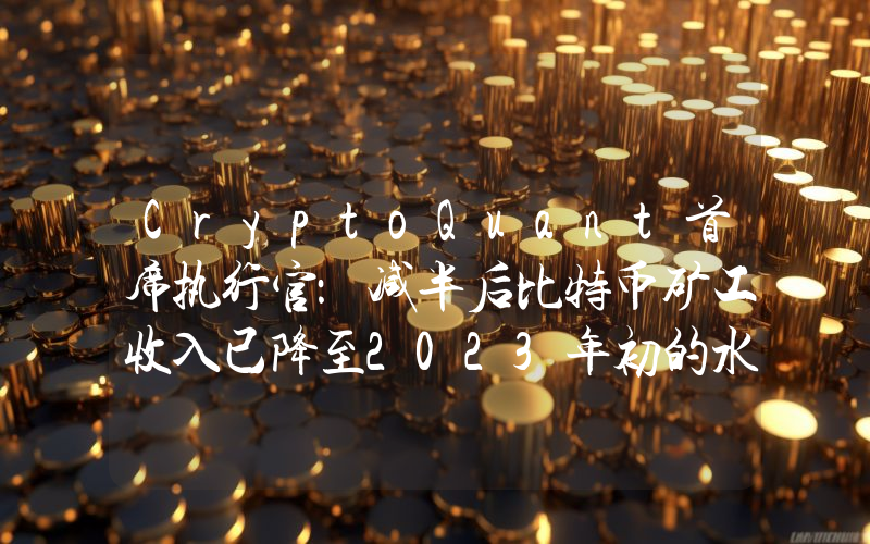 CryptoQuant首席执行官:减半后比特币矿工收入已降至2023年初的水平