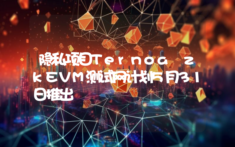 隐私项目Ternoa zkEVM测试网计划5月31日推出
