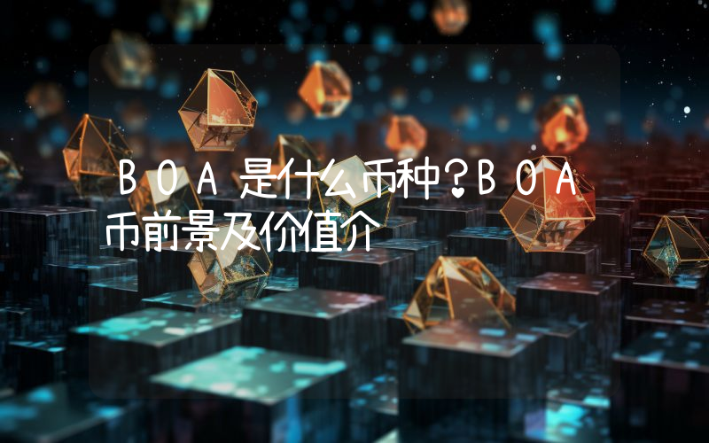 BOA是什么币种？BOA币前景及价值介绍