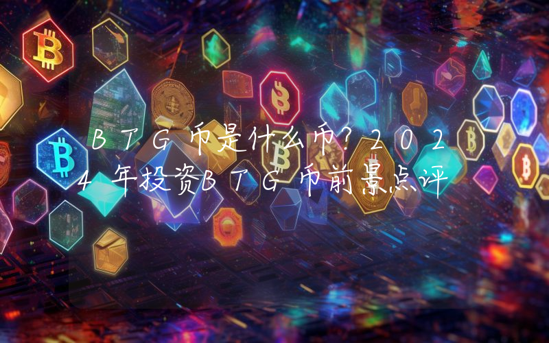 BTG币是什么币？2024年投资BTG币前景点评