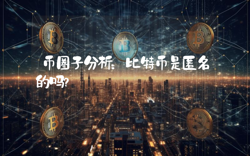 币圈子分析：比特币是匿名的吗？