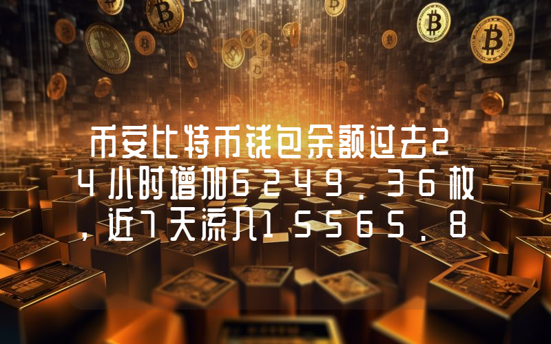 币安比特币钱包余额过去24小时增加6249.36枚,近7天流入15565.89枚