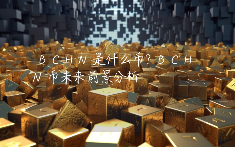 BCHN是什么币？BCHN币未来前景分析