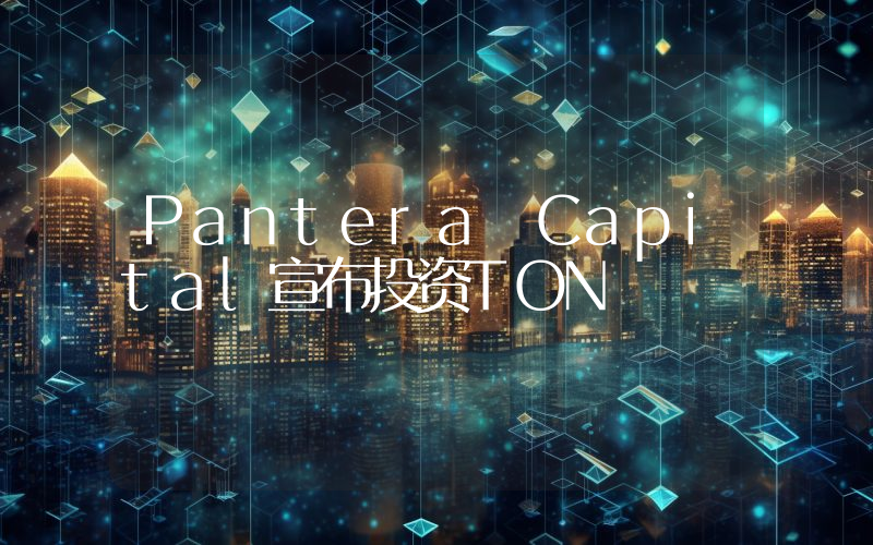 Pantera Capital宣布投资TON