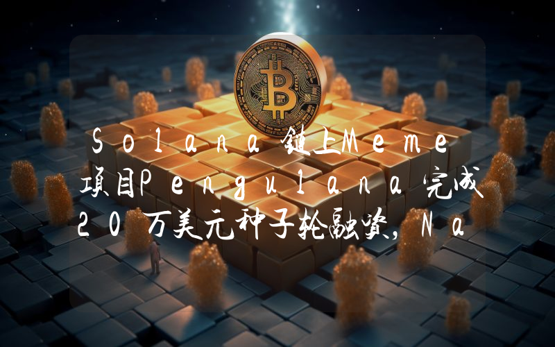 Solana链上Meme项目Pengulana完成20万美元种子轮融资,Nanosprout Ventures领投
