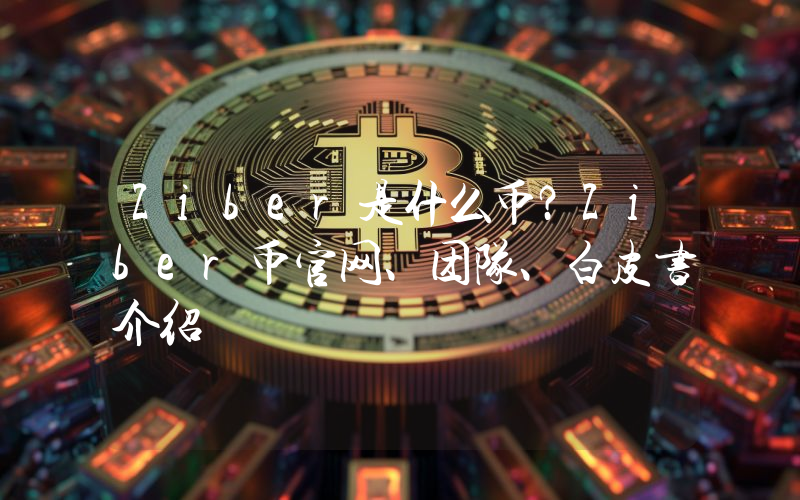 Ziber是什么币？Ziber币官网、团队、白皮书介绍