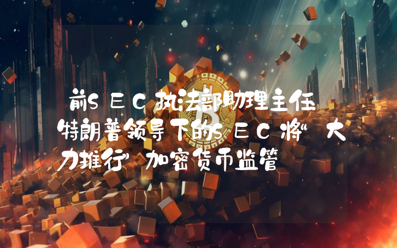 前SEC执法部助理主任:特朗普领导下的SEC将“大力推行”加密货币监管