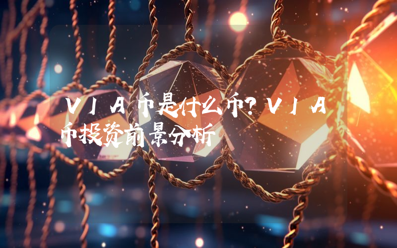 VIA币是什么币？VIA币投资前景分析