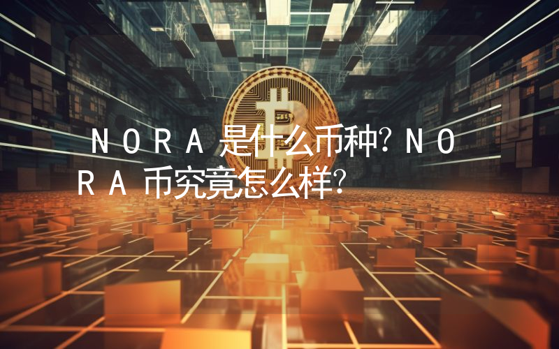 NORA是什么币种？NORA币究竟怎么样？
