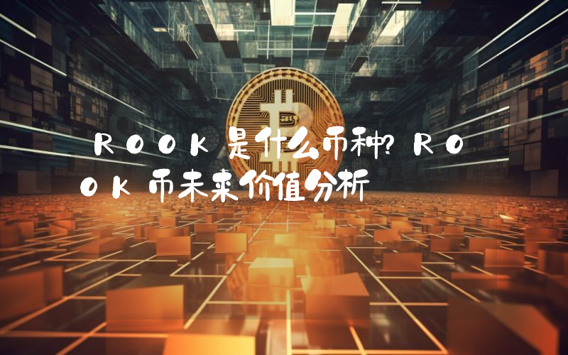 ROOK是什么币种？ROOK币未来价值分析