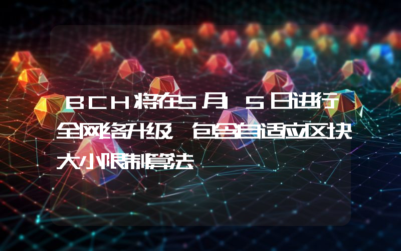 BCH将在5月15日进行全网络升级,包含自适应区块大小限制算法