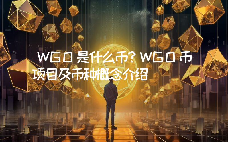 WGO是什么币？WGO币项目及币种概念介绍