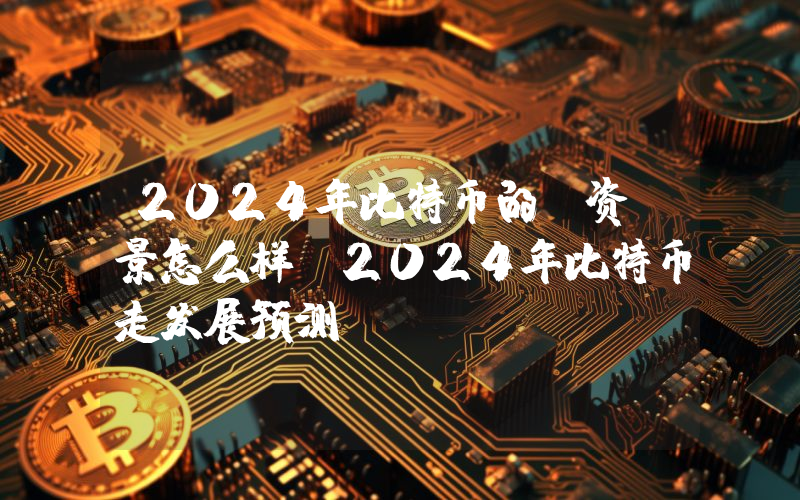 2024年比特币的投资前景怎么样？2024年比特币走发展预测