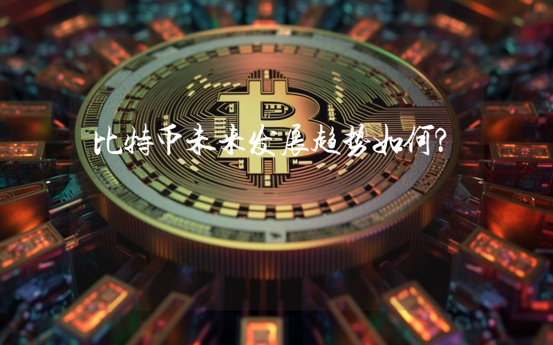 比特币未来发展趋势如何？