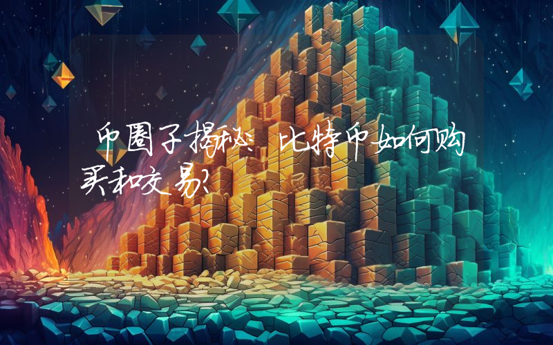 币圈子揭秘：比特币如何购买和交易？