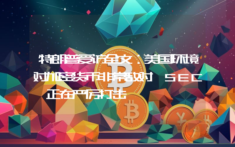 特朗普受访全文:美国环境对加密货币非常敌对 SEC 正在严厉打击