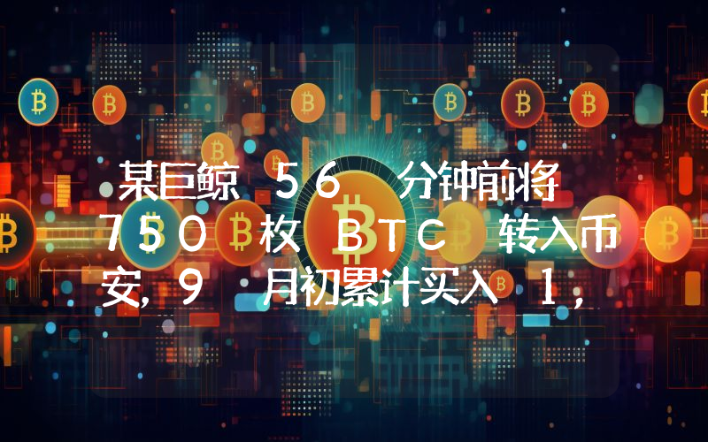 某巨鲸 56 分钟前将 750 枚 BTC 转入币安,9 月初累计买入 1,115 枚