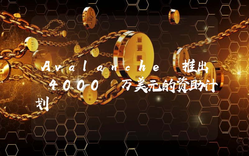 Avalanche 推出 4000 万美元的资助计划
