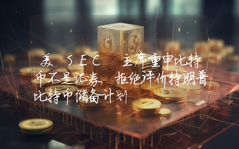 美 SEC 主席重申比特币不是证券,拒绝评价特朗普比特币储备计划