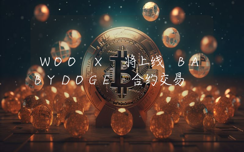 WOO X 将上线 BABYDOGE 合约交易