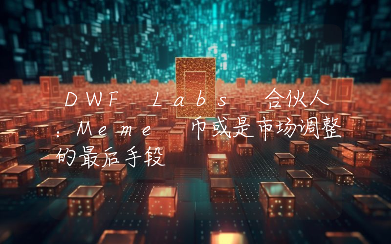 DWF Labs 合伙人:Meme 币或是市场调整的最后手段