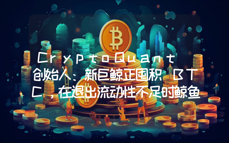 CryptoQuant 创始人:新巨鲸正囤积 BTC,在退出流动性不足时鲸鱼不太可能进行抛售