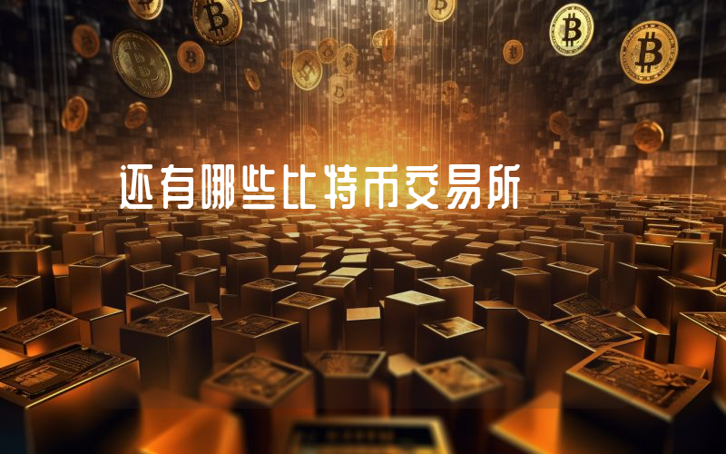 还有哪些比特币交易所