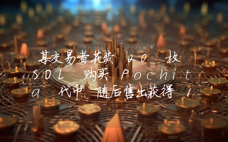 某交易者花费 20 枚 SOL 购买 Pochita 代币,随后售出获得 1064 枚 SOL
