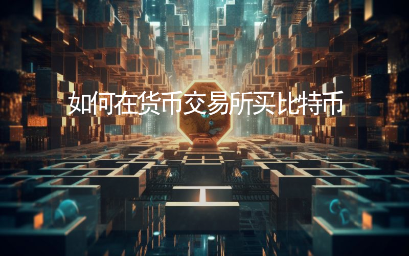 如何在货币交易所买比特币