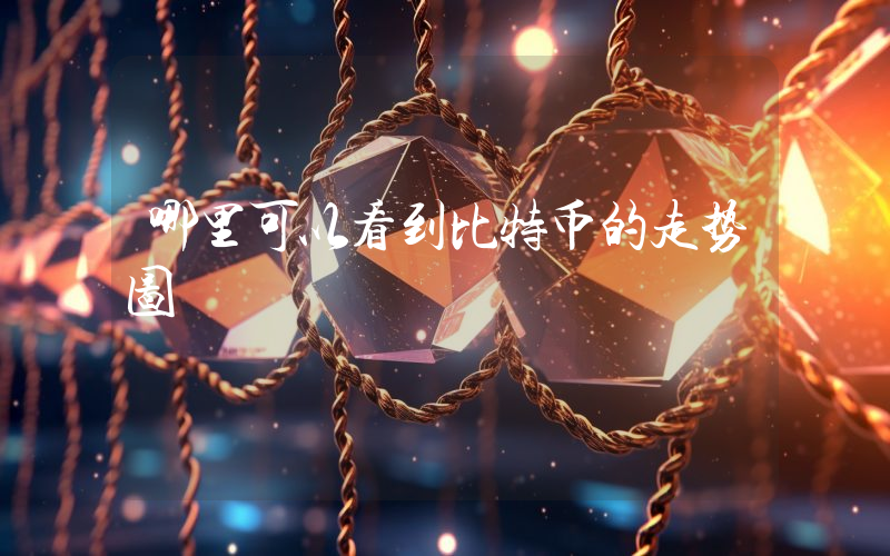 哪里可以看到比特币的走势图