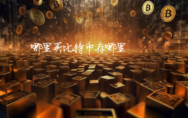 哪里买比特币存哪里