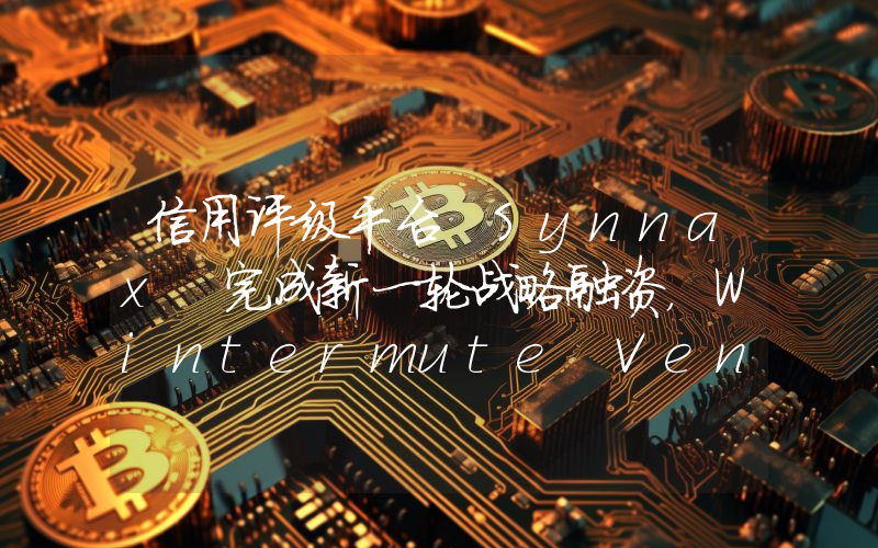 信用评级平台 Synnax 完成新一轮战略融资,Wintermute Ventures 与 TON Ventures 参投