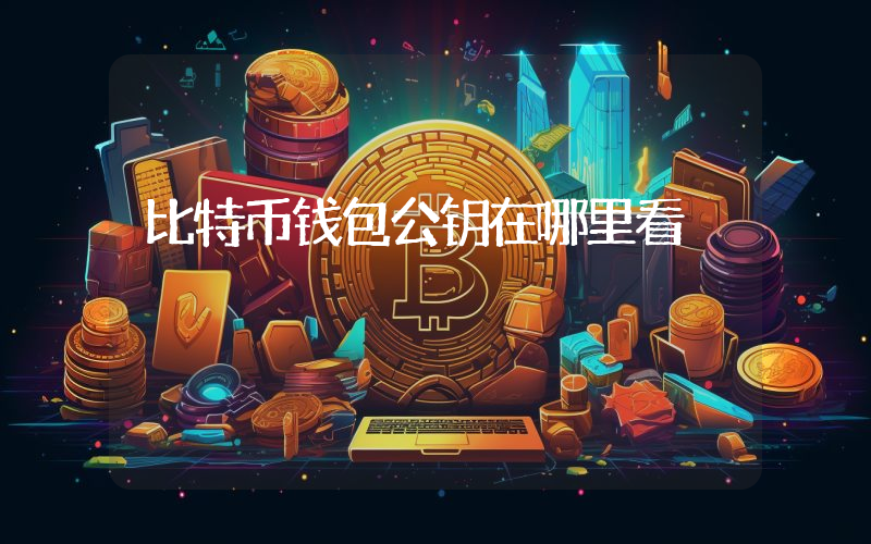 比特币钱包公钥在哪里看