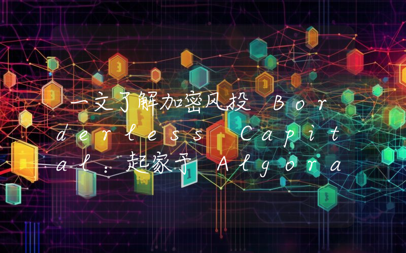 一文了解加密风投 Borderless Capital:起家于 Algorand,重点押注 DePIN