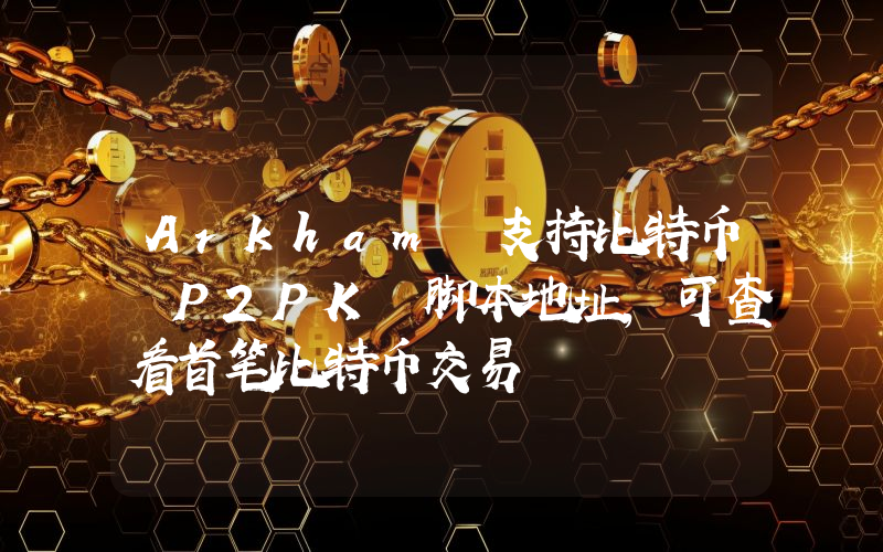 Arkham 支持比特币 P2PK 脚本地址,可查看首笔比特币交易