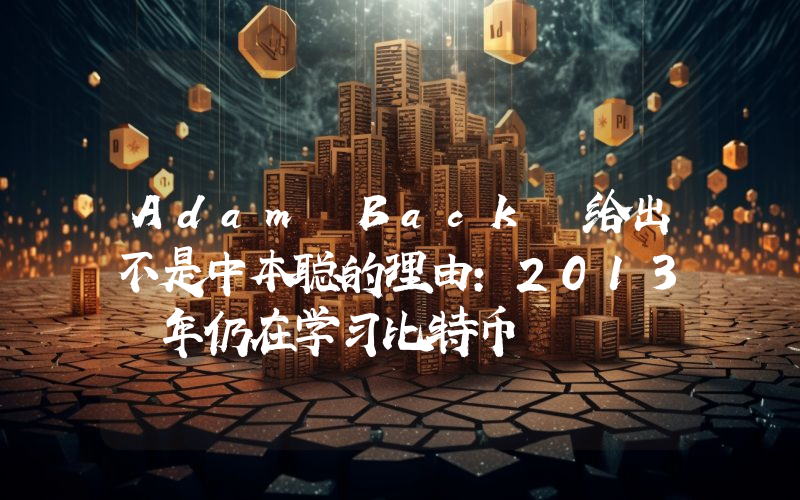 Adam Back 给出不是中本聪的理由:2013 年仍在学习比特币