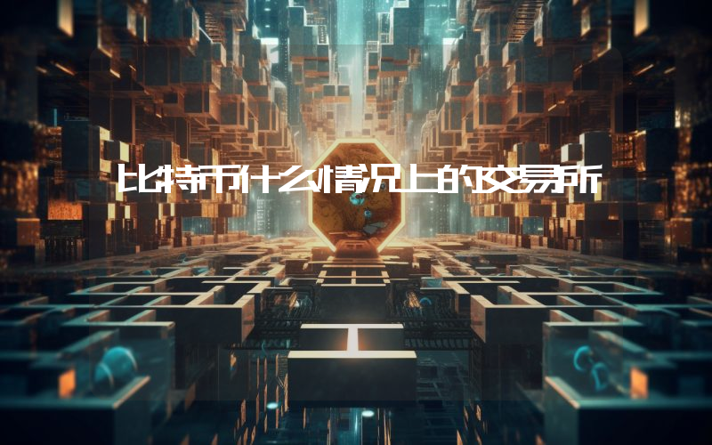 比特币什么情况上的交易所