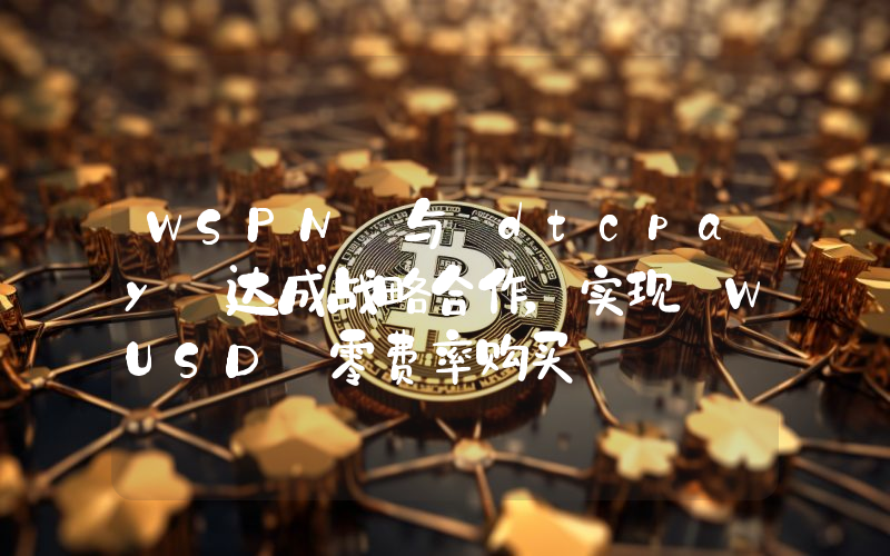 WSPN 与 dtcpay 达成战略合作,实现 WUSD 零费率购买