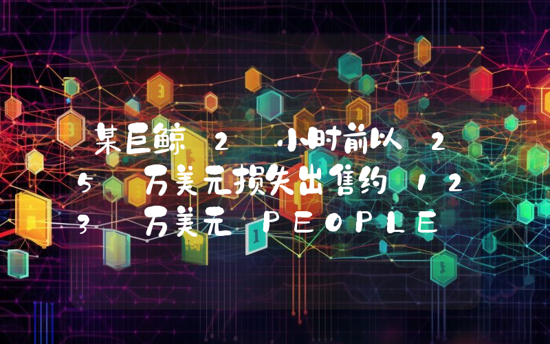 某巨鲸 2 小时前以 25 万美元损失出售约 123 万美元 PEOPLE