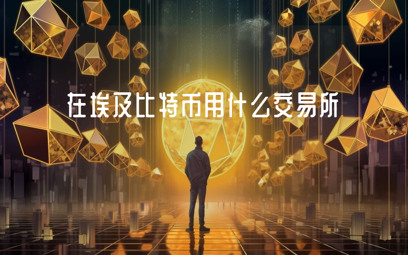 在埃及比特币用什么交易所