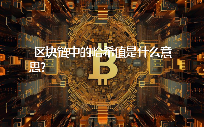 区块链中的哈希值是什么意思？