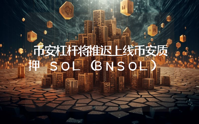 币安杠杆将推迟上线币安质押 SOL(BNSOL)