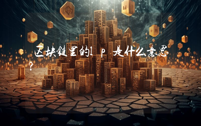 区块链里的lp是什么意思？