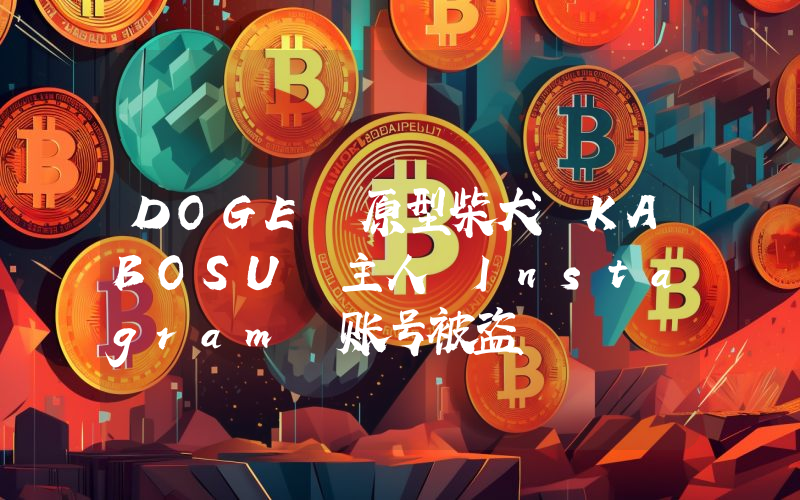 DOGE 原型柴犬 KABOSU 主人 Instagram 账号被盗