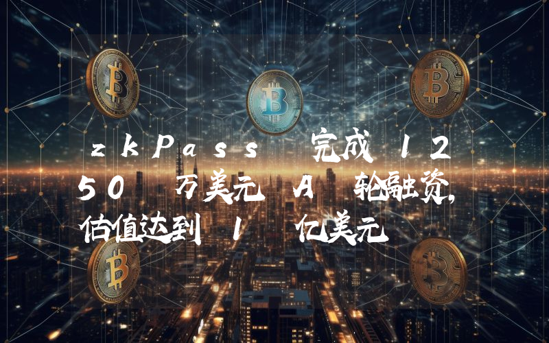 zkPass 完成 1250 万美元 A 轮融资,估值达到 1 亿美元